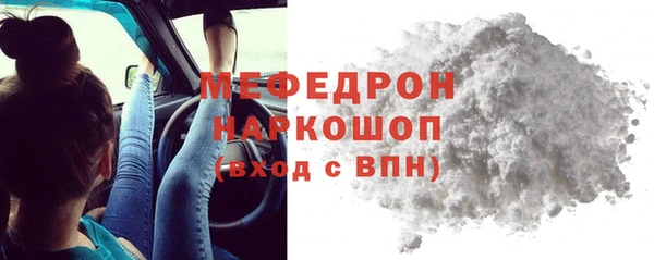 СК Алексин