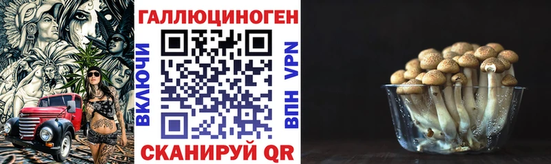Псилоцибиновые грибы GOLDEN TEACHER  купить наркотики цена  Артёмовск 